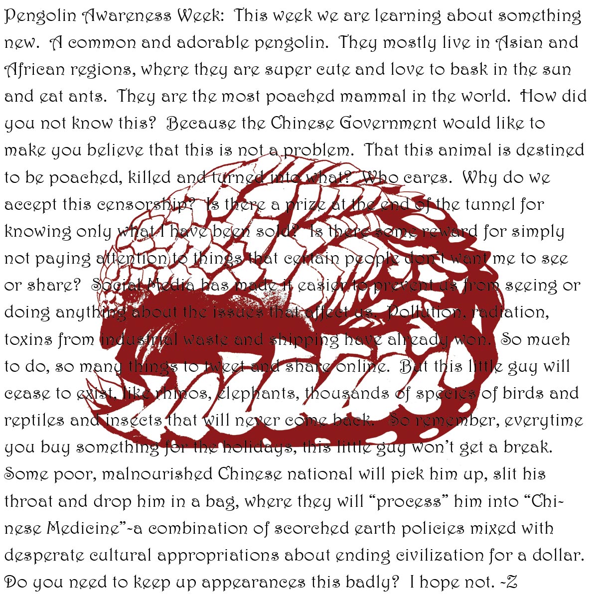 PengolinAwarenessWeek