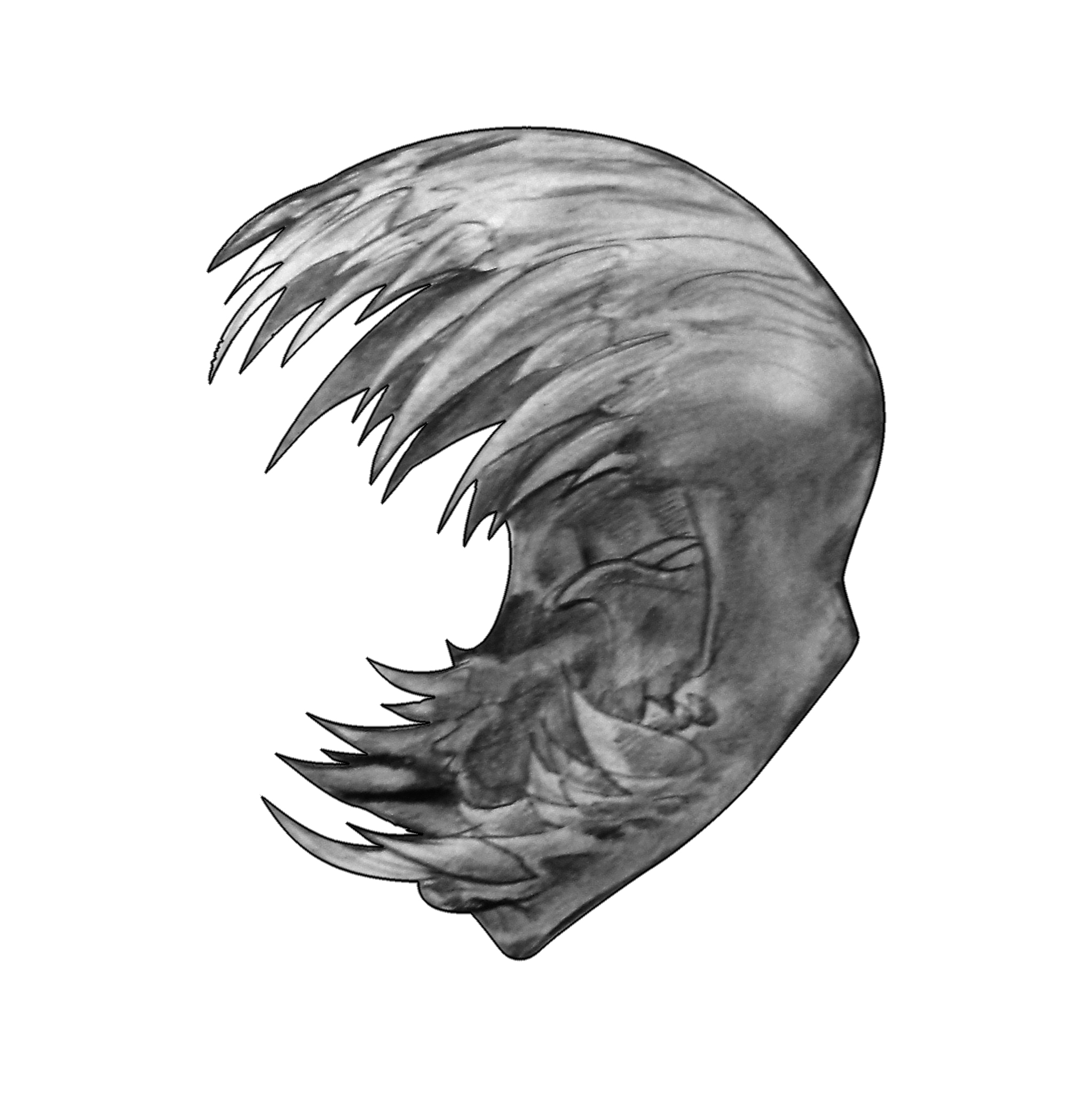 KRIS GODWIN GAPINGMAW4